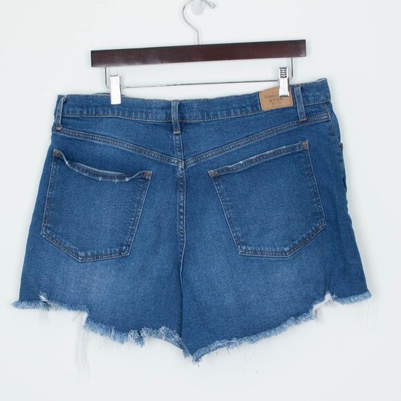Abercrombie & Fitch Womens Curve Love High Rise Shorts Size 33 16 Distressed - Picture 5 of 8